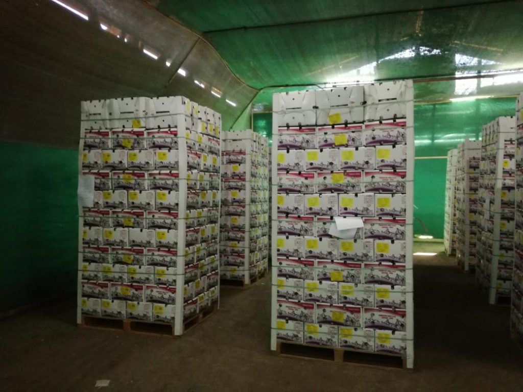 FRULATINA – FRULATINA SPA aims to commercialize the main products of ...